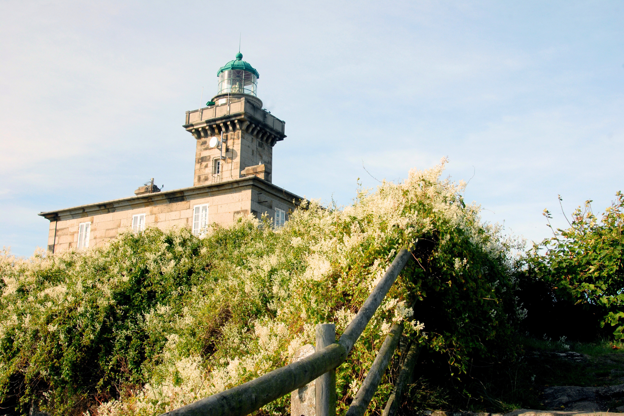 l'île-des-pins (4).webp
